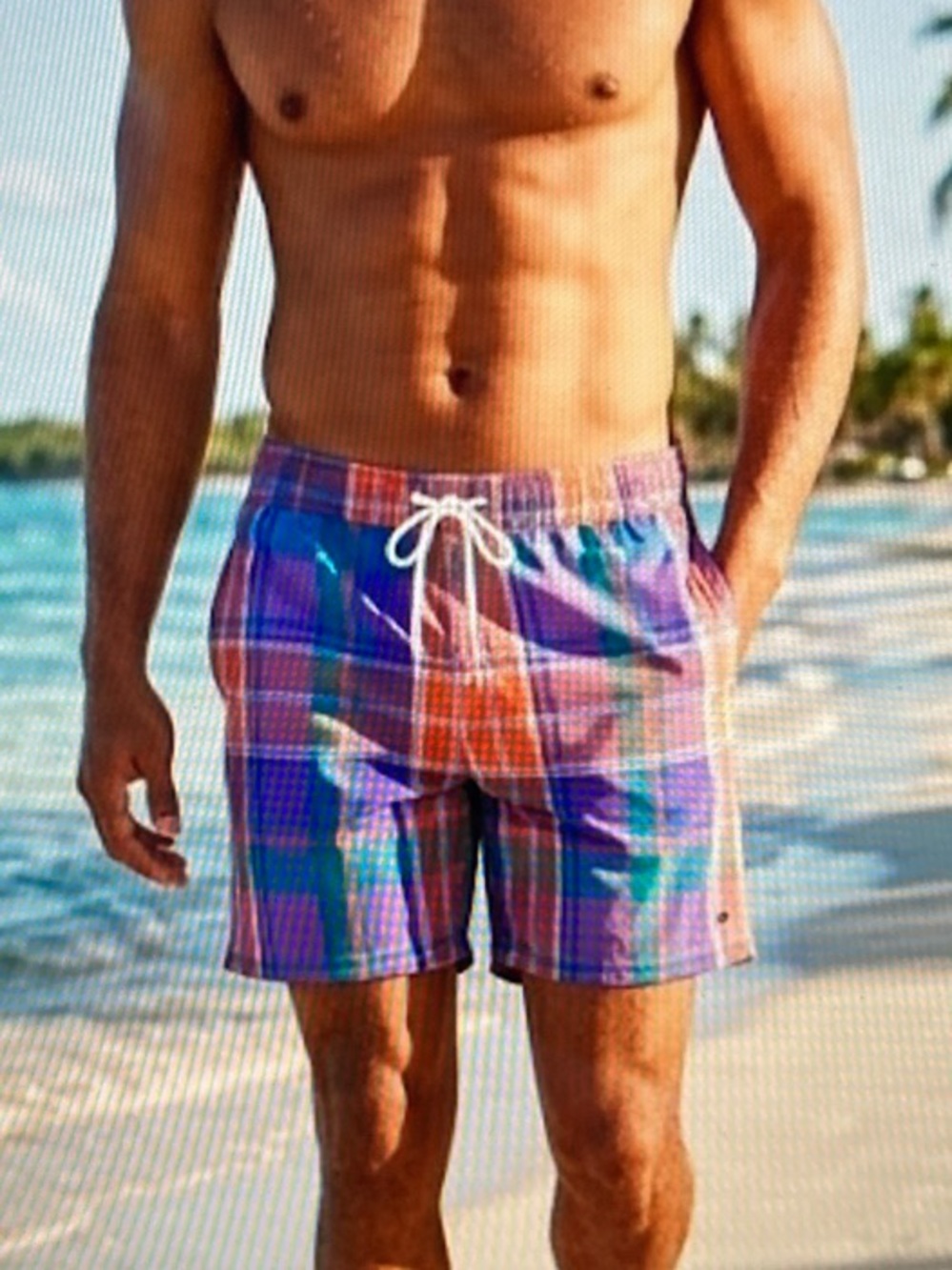 NWT J.Crew Men’s Plaid Swim Trunks Madras Board Shorts S647